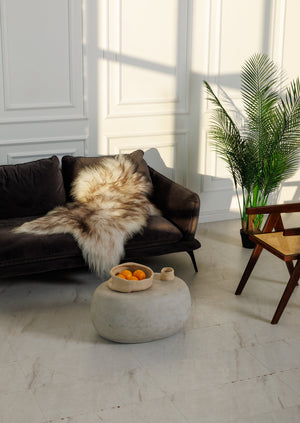 Icelandic mouflon sheepskin rug