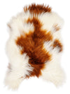 Icelandic Multicoloured Sheepskin Rug L