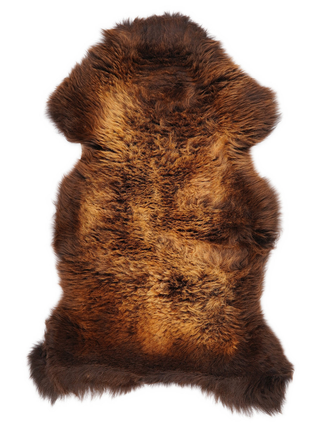 "Rusty" Įvairiaspalvis avikailis XL